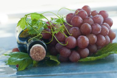 Otantik organik gıda. Üzüm İtalyan delishes