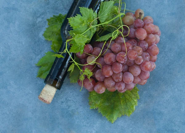 Authentische Bio-Lebensmittel. Trauben italienisch begeistert — Stockfoto