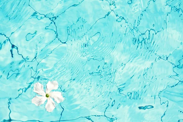 Blauw water met tropische bloem. Zwembad water oppervlaktetextuur bovenaanzicht — Stockfoto