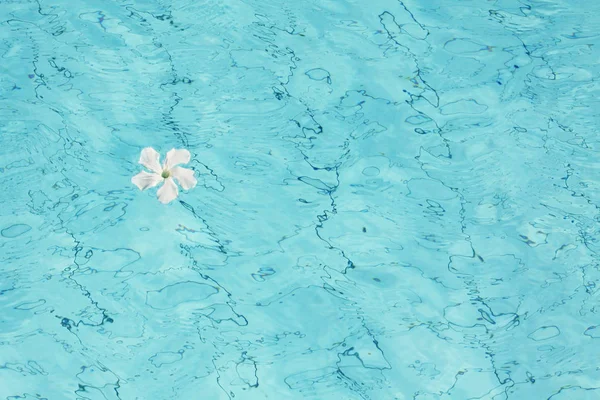 Piscina textura de superficie de agua y flor blanca. Fondo de agua azul — Foto de Stock