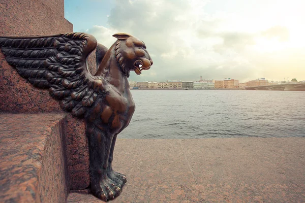 Sfinxer och Griphon i St. Petersburg. Panorama över Petersburg — Stockfoto