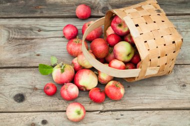 pottle ahşap arka plan üzerinde kırmızı elma