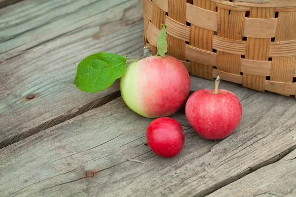 Röda äpplen i pottle på trä bakgrund — Stockfoto