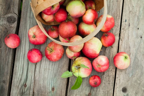 Pommes rouges en pottle sur fond en bois — Photo