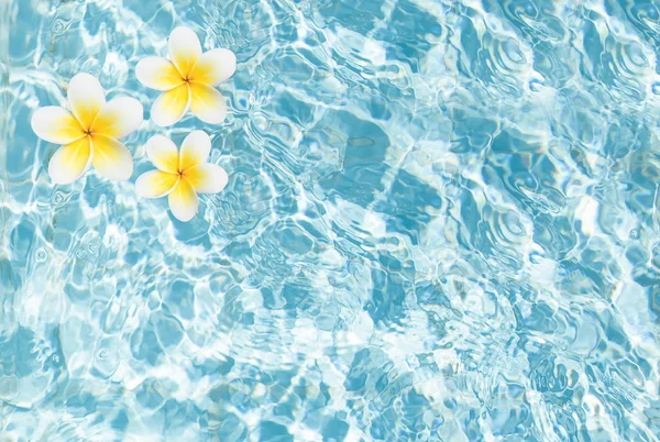 Μπλε νερό υφή με τροπικά λουλούδια κάτοψη. Επιφάνεια νερού πισίνας — Φωτογραφία Αρχείου