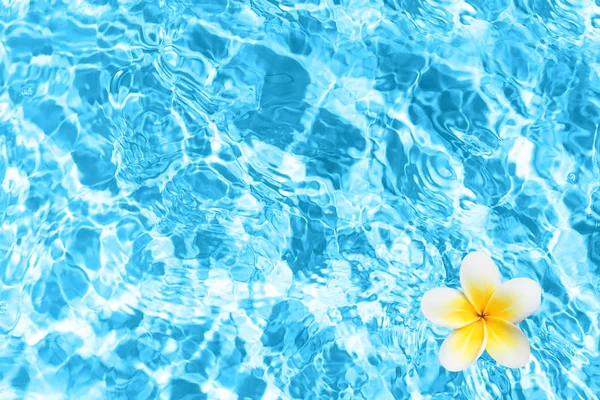 Wody w basenie z góry. Niebieski Woda tekstura tropikalny kwiat — Zdjęcie stockowe