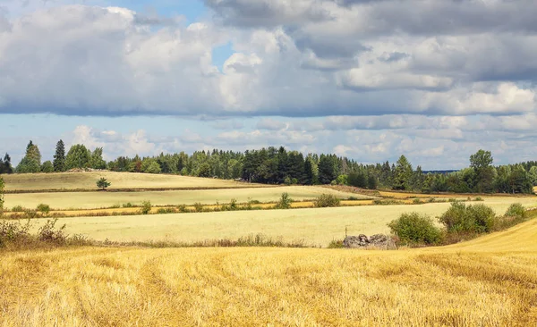 美丽的斯堪的纳维亚景观-字段和农场 — 图库照片