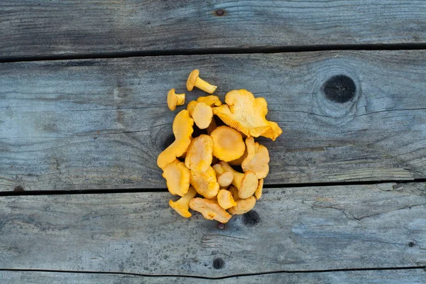 Tasty chanterelles mushrooms on dark wooden board — Stock Photo, Image