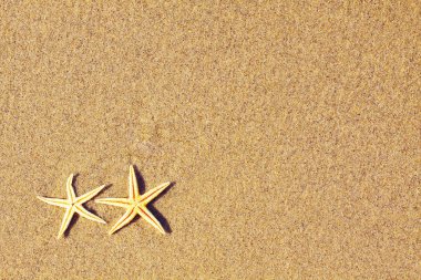Deniz yıldızı bir plaj kum üzerinde. Tatil kavramı 