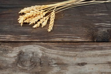 Altın çavdar Spikelets üzerinde koyu ahşap arka plan