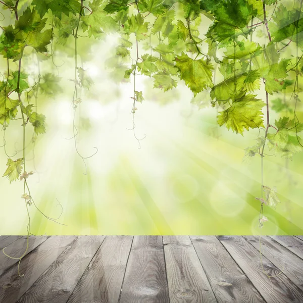 Hojas verdes de uvas con mesa de madera oscura. concepto de cosecha — Foto de Stock