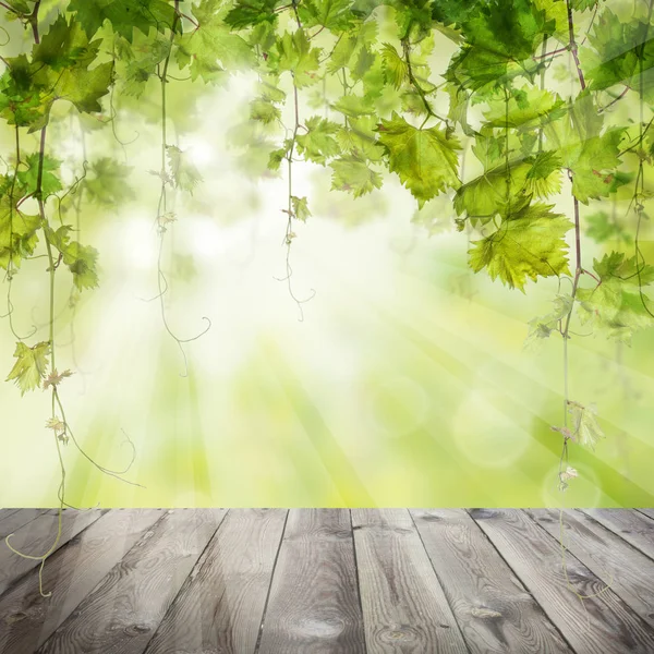 Green leaves grapes with dark wooden table. harvest concept — Stock Photo, Image