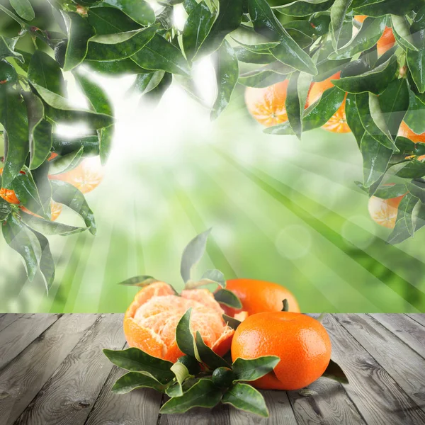 Mandarijnen op houten tafel in groene tuin — Stockfoto