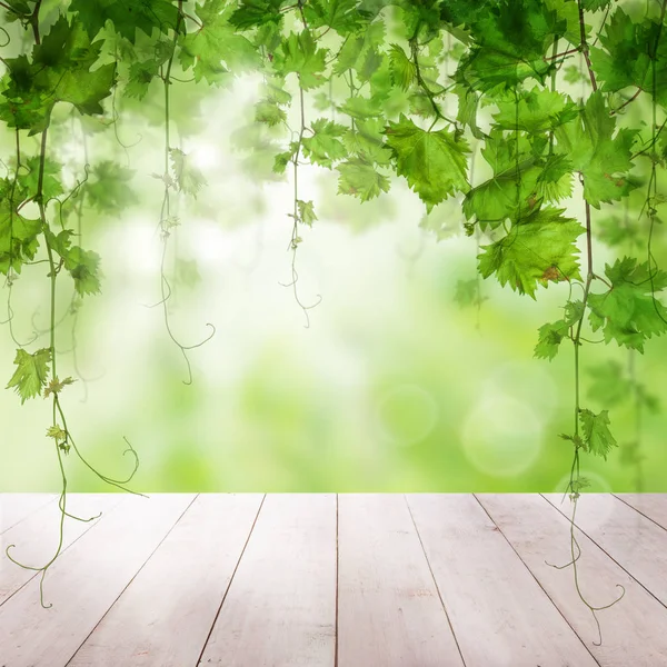 Groene bladeren met zonlicht houten achtergrond — Stockfoto