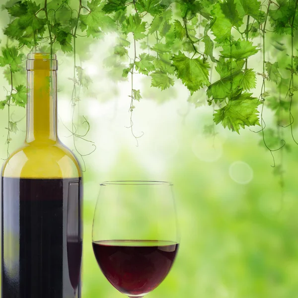 Fles en glas rode wijn op groene zonnige achtergrond — Stockfoto