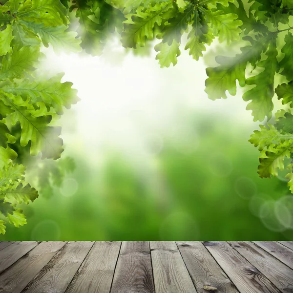 Tablero de madera vacío con hojas de roble verde y luz bokeh abstracta — Foto de Stock