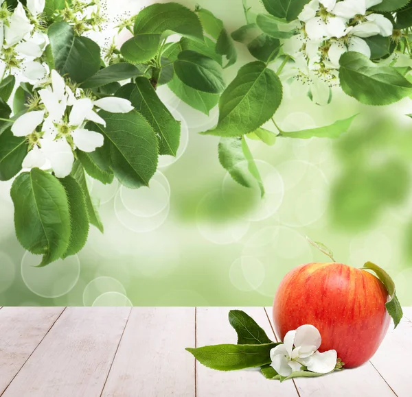 Red apple fruits on white wooden table against abstract green leaves — Stock Photo, Image