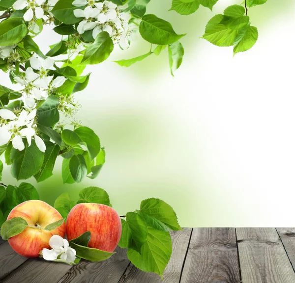 Frutos de manzana sobre fondo abstracto con hojas verdes, flores — Foto de Stock