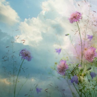 Güzel çiçek sınır güzel bulanık bulutlar gökyüzü arka plan.