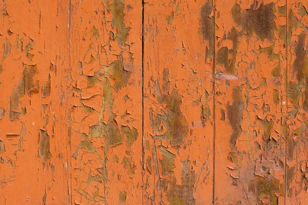 오렌지 나무 배경, 페인트와 나무 질감 — 스톡 사진