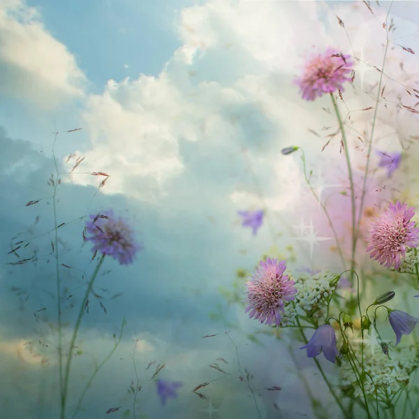 Mooie bloemenborder mooie wazige wolken hemel achtergrond. — Stockfoto