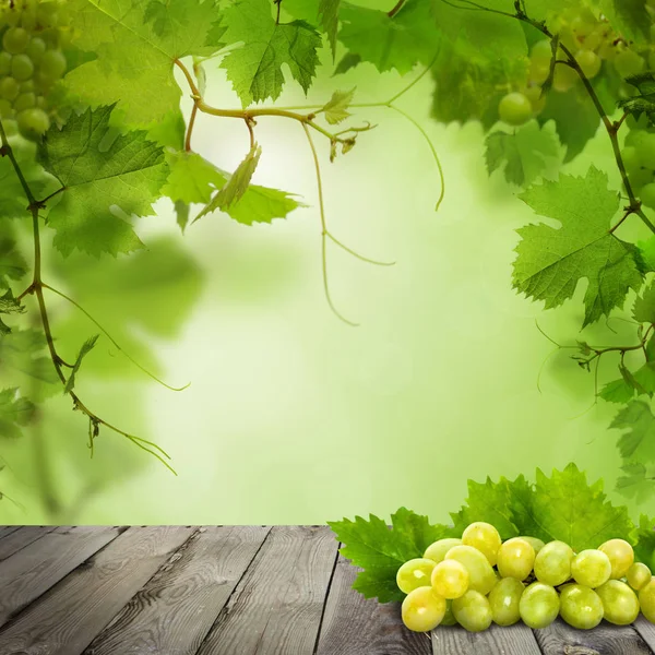 Органический виноград на старой серой деревянной доске против абстрактных зеленых листьев — стоковое фото