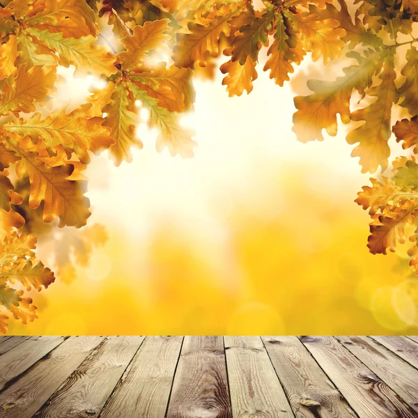 Φθινοπωρινό φόντο με άδεια ξύλινα επιτραπέζια, κίτρινα φύλλα βελανιδιάς — Φωτογραφία Αρχείου