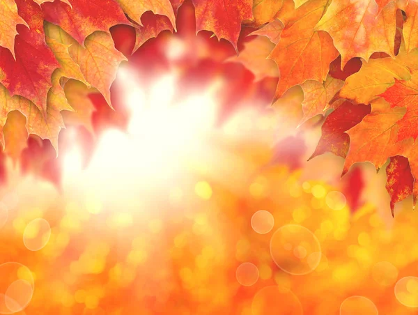 カラフルな秋の背景。秋の葉と抽象的な太陽の光 — ストック写真