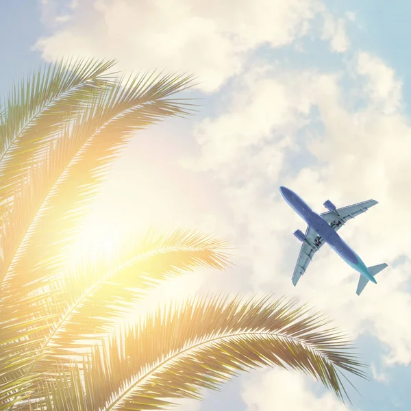 Palm bomen met vliegtuig en hemel wolken achtergrond — Stockfoto