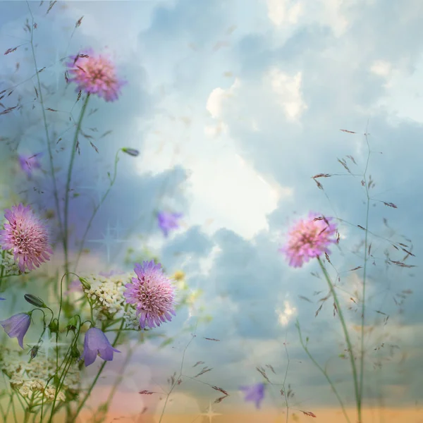 Prachtige bloemen rand op onscherpe wolken hemel achtergrond — Stockfoto