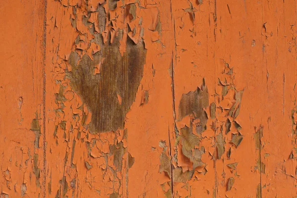 오렌지 나무 배경, 페인트와 나무 질감 — 스톡 사진