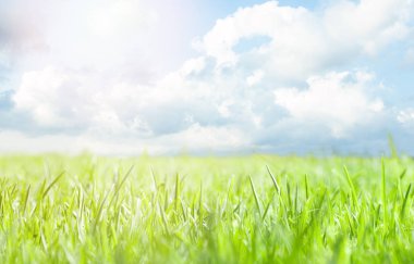 Güzel bulutlar ile güneşli bir günde Yeşil çim çayır arka plan