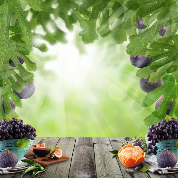 Frukt på mørkt trebord med grønn fikentrebakgrunn . – stockfoto