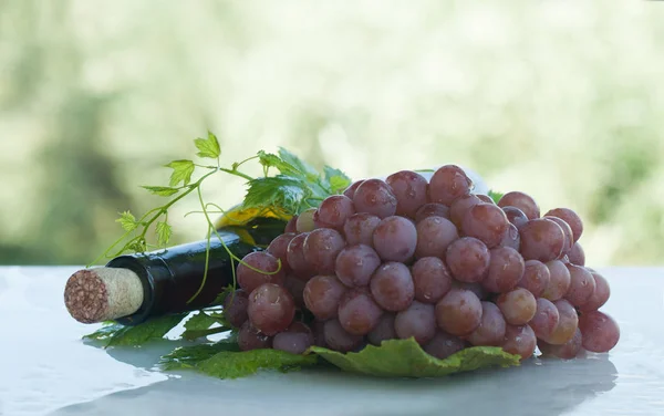 Autentico cibo biologico. Uva italiana delizia con vino ourdoor — Foto Stock