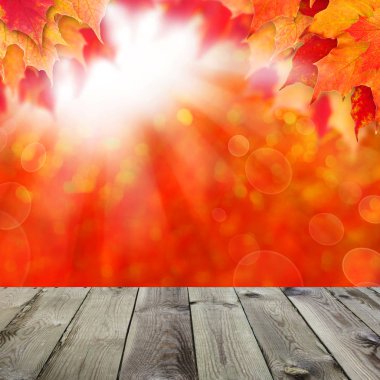 Sonbahar akçaağaç yaprakları ve güneş ışığı ile soyut sonbahar arka plan 