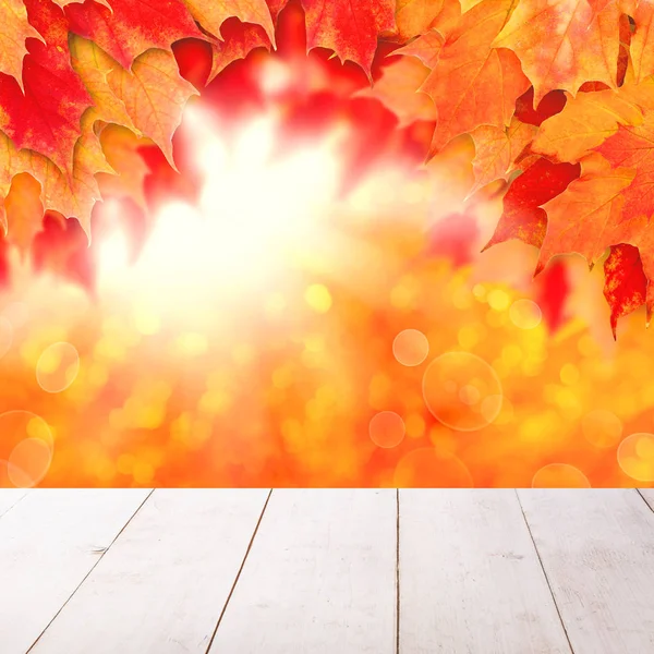 Πολύχρωμο φθινοπωρινό φόντο. Φθινοπωρινά φύλλα και αφηρημένο ηλιακό φως — Φωτογραφία Αρχείου