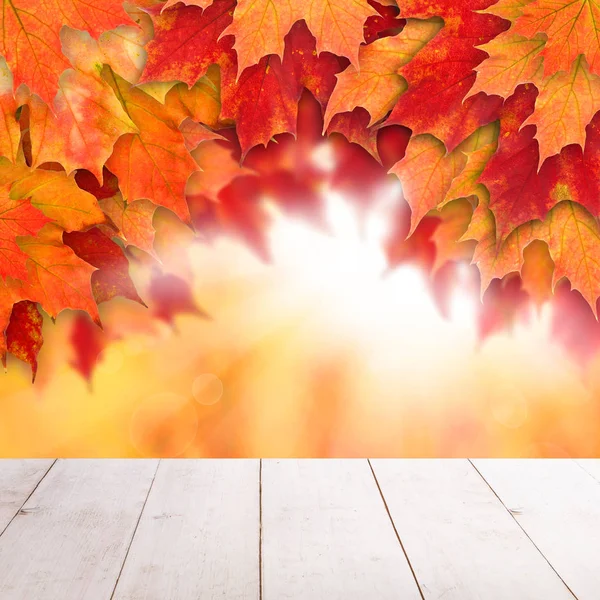 五颜六色的秋天背景。秋枫叶 — 图库照片
