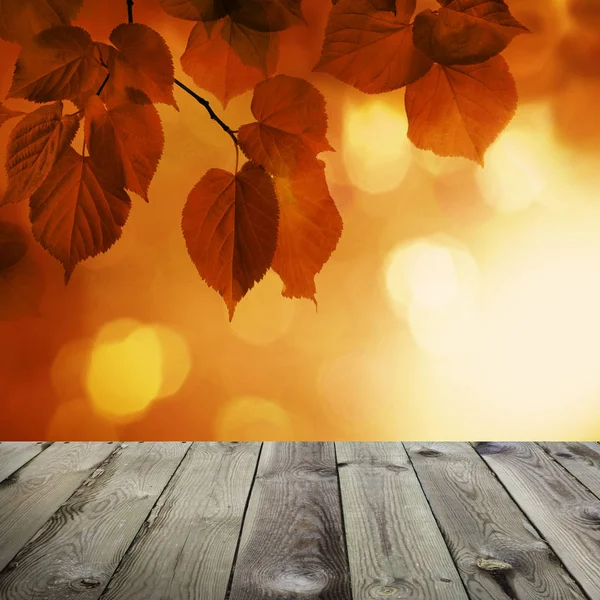 Fond d'automne avec feuilles de tilleul rouge et paillettes de bokeh abstraites — Photo
