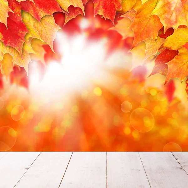 Bright autumn background. Red fall maple leaves and abstract bokeh — Stock Photo, Image