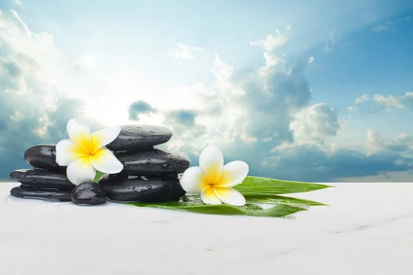 Tropik çiçekler ve siyah taşlar sağlıklı tedavi için hazır — Stok fotoğraf