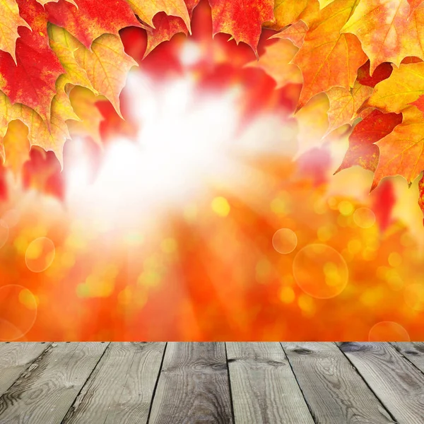 Fondo brillante otoño. Hojas de arce de otoño rojo y bokeh abstracto —  Fotos de Stock