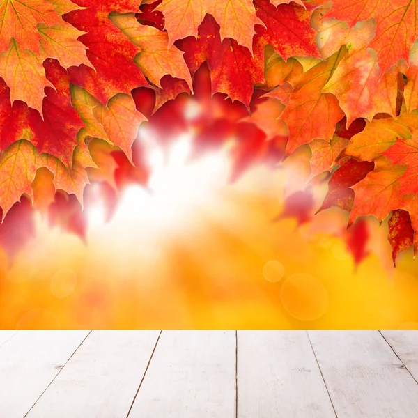 Fondo autunnale con foglie. Foglie di autunno colorate — Foto Stock