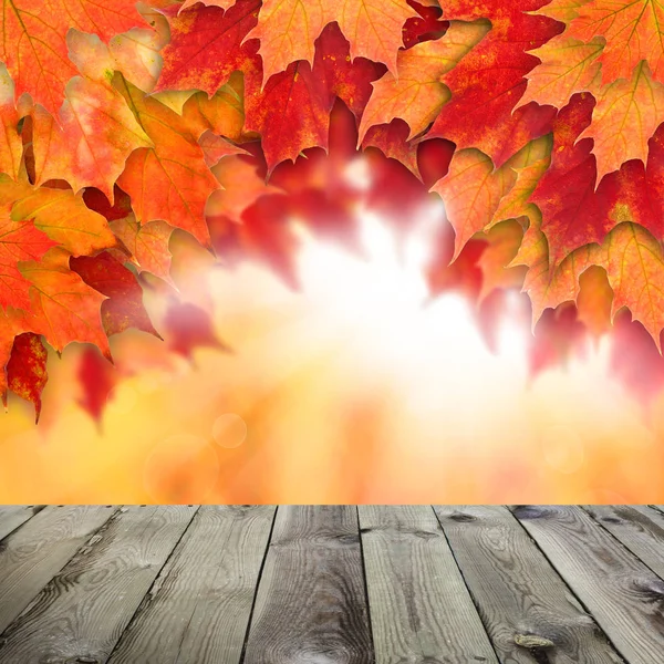 Colorful fall background. Autumn maple leaves and abstract sun — Stock Photo, Image