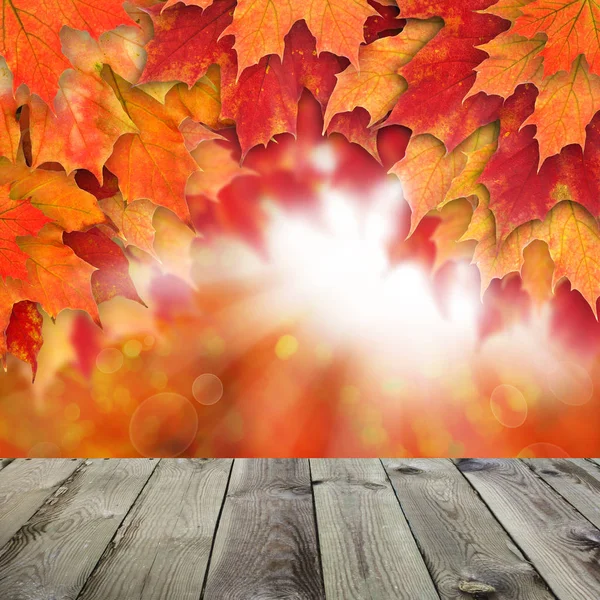 Sfondo autunno rosso con foglie d'acero e su astratto — Foto Stock
