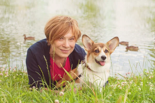 Corgi hund sittande med äldre kvinna i ett gräs — Stockfoto