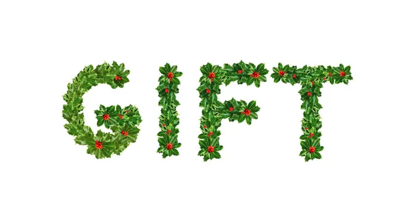 Holly With Berry Letters alphabet. Holly Leaves with berry's — Stock Photo, Image