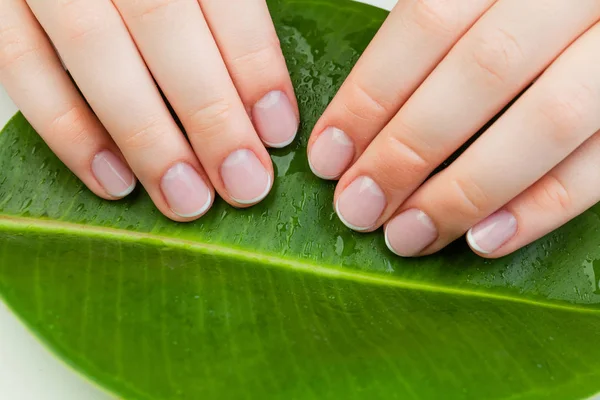 Manucure spa. mains féminines avec de beaux ongles. Sur les feuilles vertes — Photo