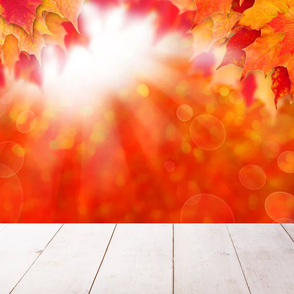 秋のカエデの葉と太陽の光を持つ抽象的な秋の背景 — ストック写真