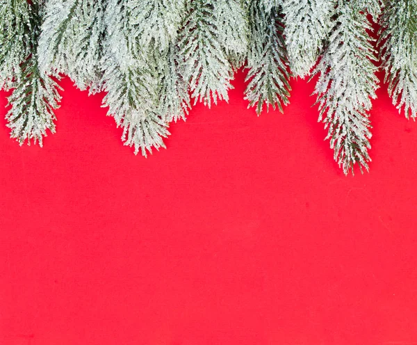 Fond de composition de Noël rouge. branche de sapin vert d'hiver — Photo