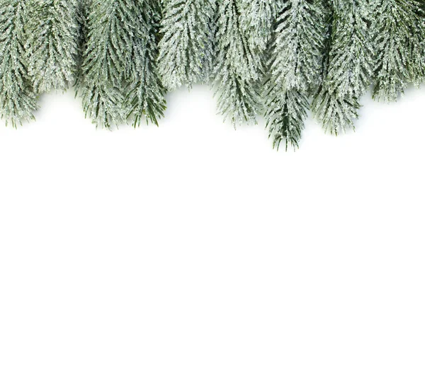 背景に緑の冬モミの枝とクリスマスの組成物 — ストック写真